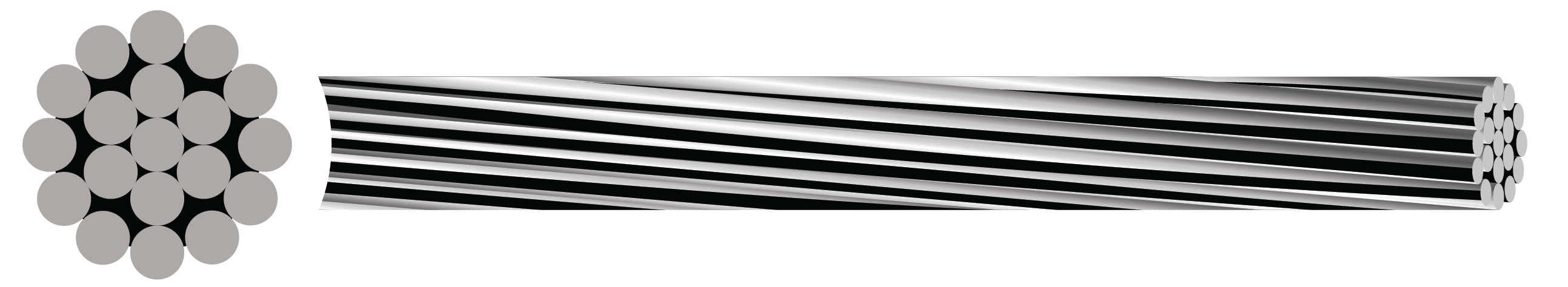 Cockroach Overhead Line (AAC) Cable - Network Rail Certified